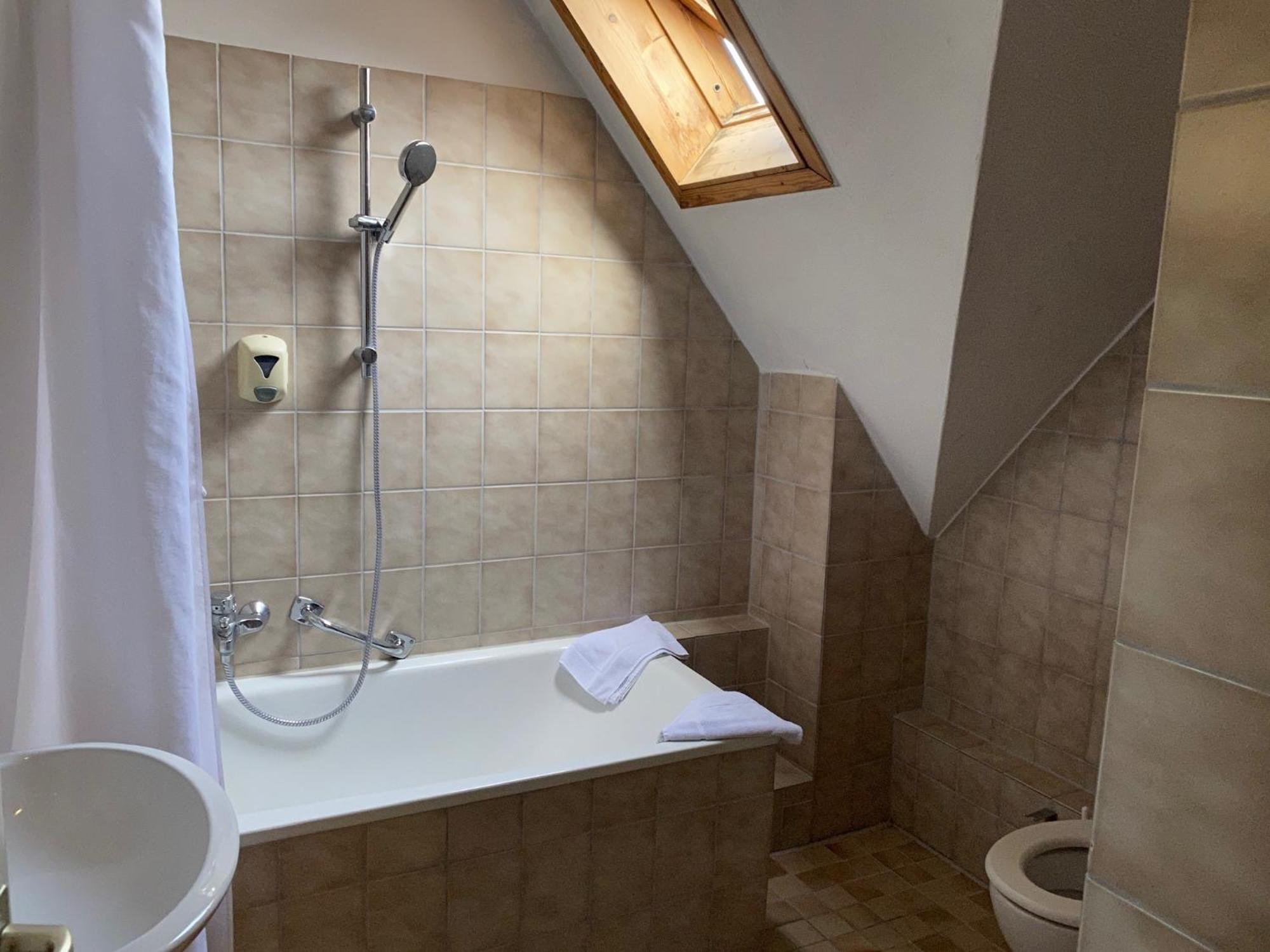 Hotel Gasthaus Schuetzen Freiburg im Breisgau Rum bild